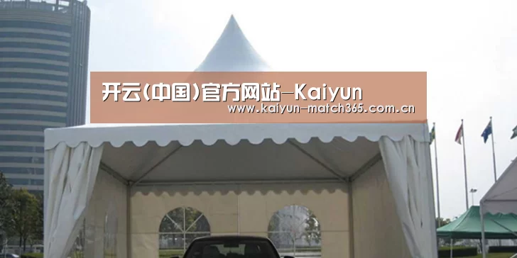 案例标题八