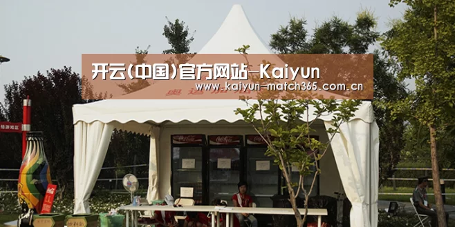 案例标题五