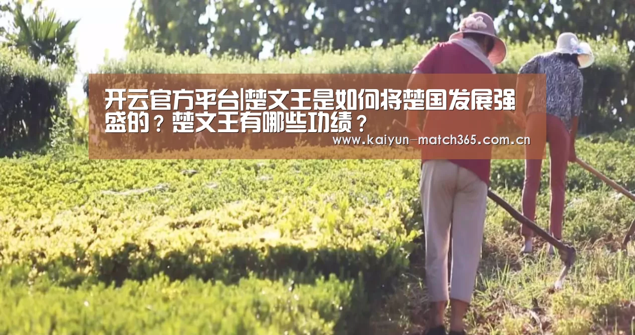开云官方平台|楚文王是如何将楚国发展强盛的?楚文王有哪些功绩?(图2) 开云官方平台